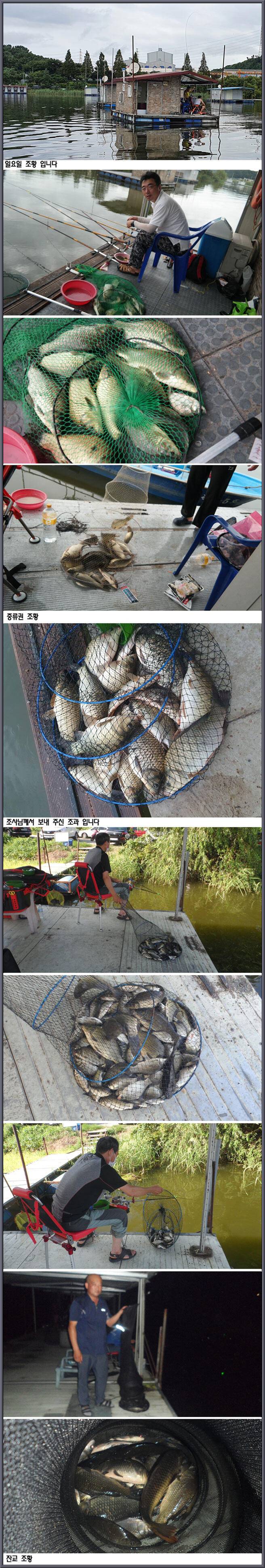 아산죽산지 831일 일요일 조황 입니다 (유료터정보 - 유료터점주조황)