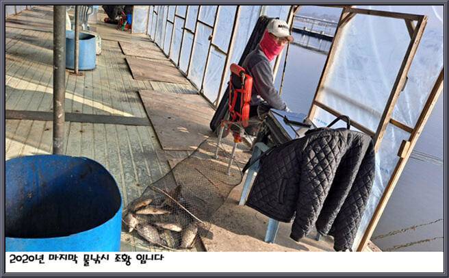 아산죽산지1230일 2020년 마지막 물낚시 조황 입니다 (유료터정보 - 유료터점주조황)