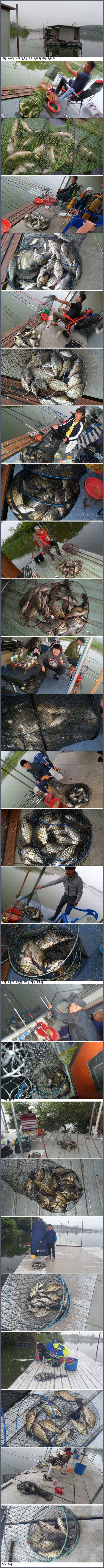 아산죽산지628일 주말 전지역 밤 조황 입니다 (유료터정보 - 유료터점주조황)
