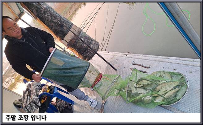 아산죽산지411일 주말 조황 입니다 (유료터정보 - 유료터점주조황)