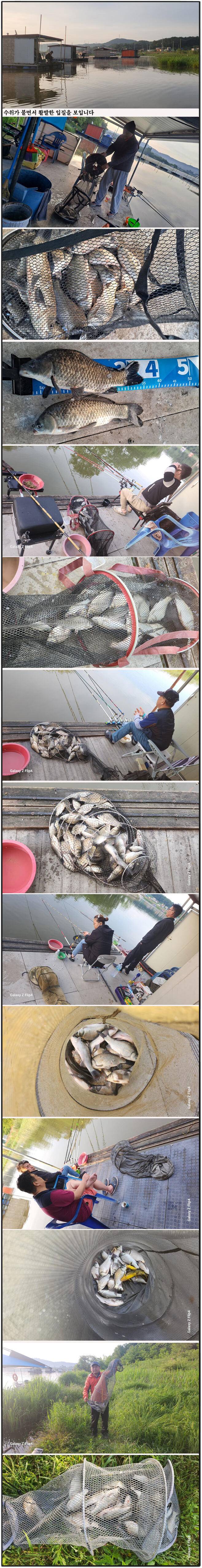 아산죽산지528일 수위가 불면서 활발한 입질을 보입니다 (유료터정보 - 유료터점주조황)