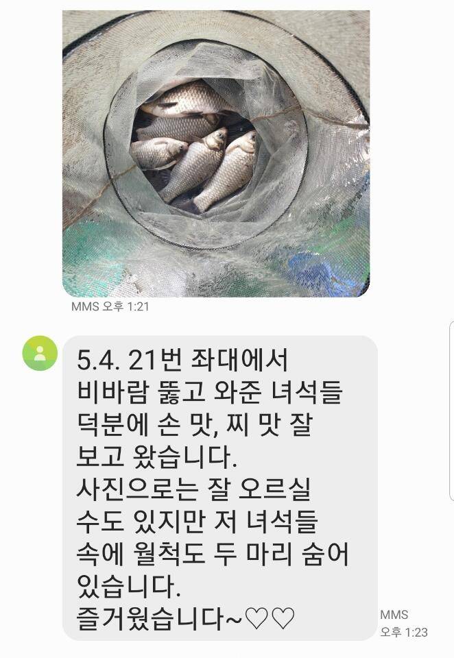 2021년 5월 셋째주 조황정보 용인 용담낚시터사암지 (유료터정보 - 유료터점주조황)