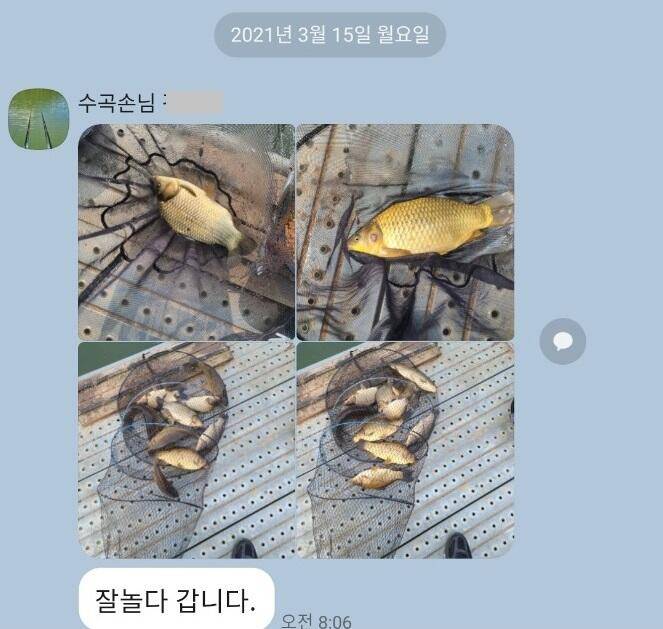 셋째주 양평 수곡낚시터 주초 조황 소식입니다 (유료터정보 - 유료터점주조황)