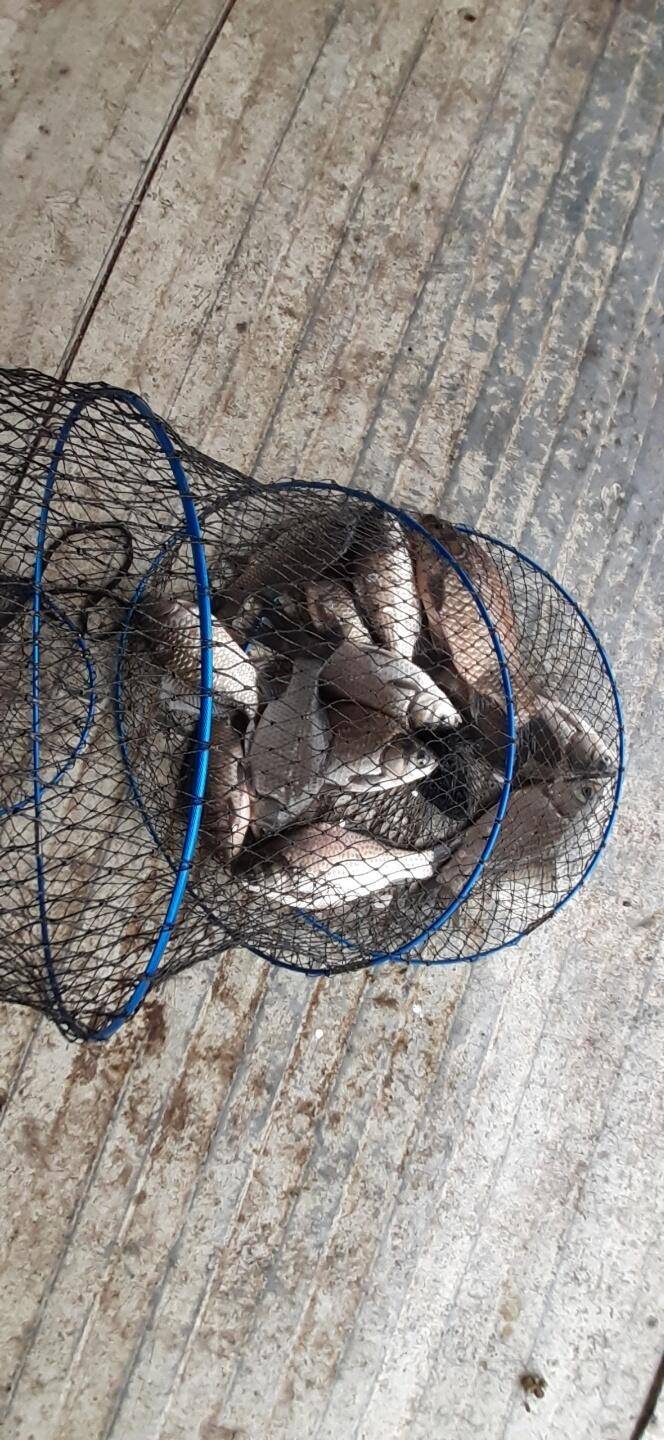 아산 안골지 조황정보 입니다 (유료터정보 - 유료터점주조황)