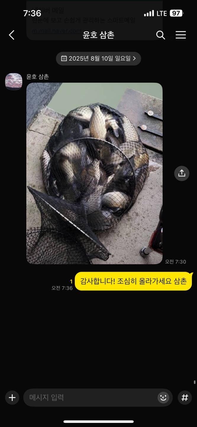 주말 붕어 방류 와 조황입니다 (유료터정보 - 유료터점주조황)