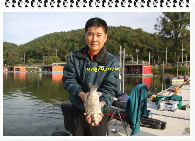 신원낚시터추석연휴 조황소식입니다 (유료터정보 - 유료터점주조황)