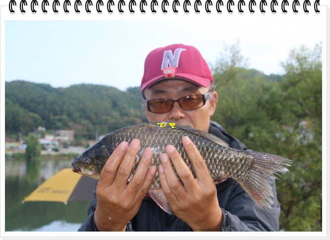 신원낚시터추석연휴 조황소식입니다 (유료터정보 - 유료터점주조황)