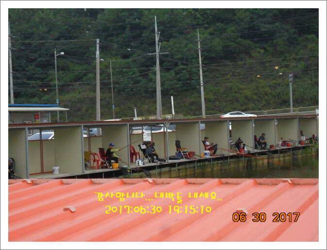 도심속의 작은 쉼터 화성 관리낚시터입니다Dae Bak (유료터정보 - 유료터점주조황)