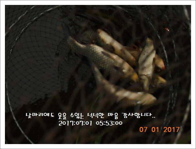 도심속의 작은 쉼터 화성 관리낚시터입니다Dae Bak (유료터정보 - 유료터점주조황)