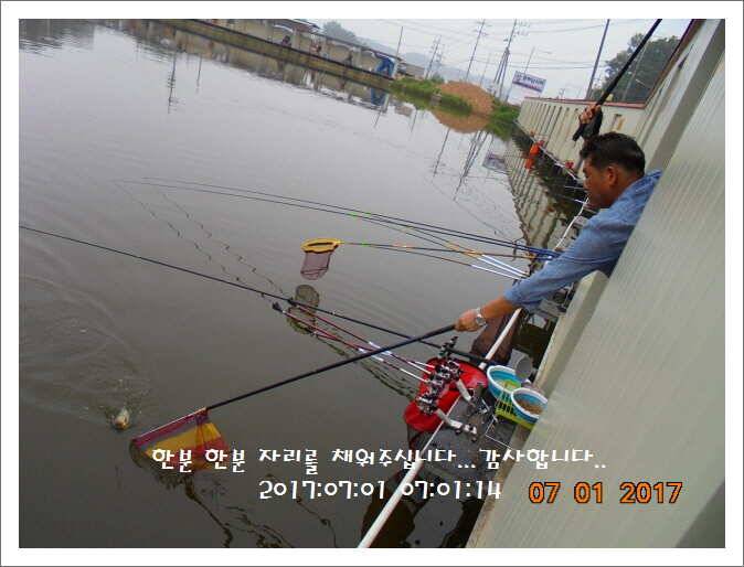 도심속의 작은 쉼터 화성 관리낚시터입니다Dae Bak (유료터정보 - 유료터점주조황)