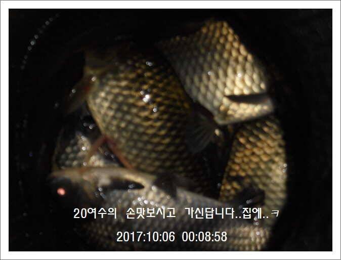 도심속의 작은 쉼터 화성 관리 낚시터입니다초 저녁 입질이 좋습니다 (유료터정보 - 유료터점주조황)