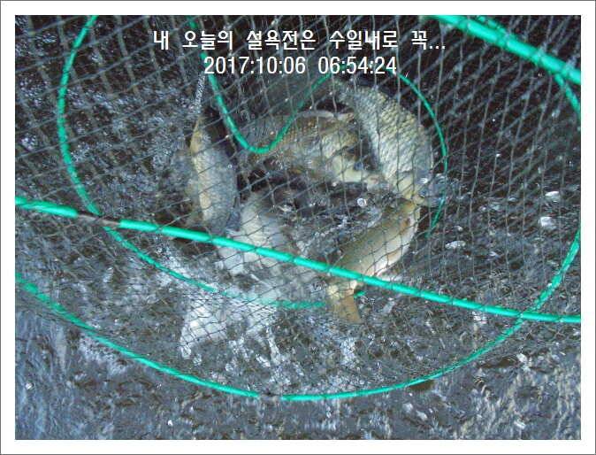 도심속의 작은 쉼터 화성 관리 낚시터입니다초 저녁 입질이 좋습니다 (유료터정보 - 유료터점주조황)