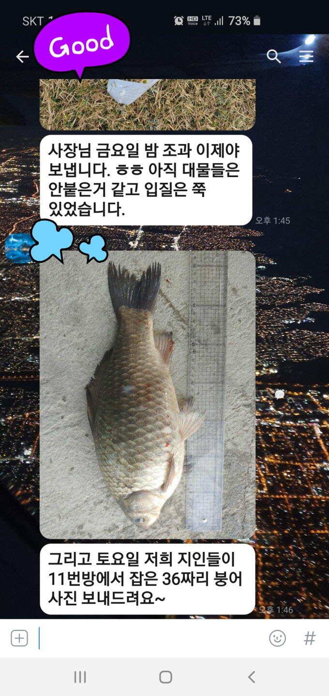 신원낚시터4월7일 토종붕어 방류와 조황 소식입니다 (유료터정보 - 유료터점주조황)