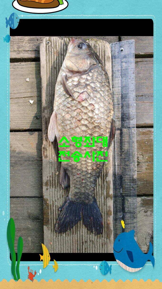 신원낚시터 토종대물 4짜 소식입니다 (유료터정보 - 유료터점주조황)