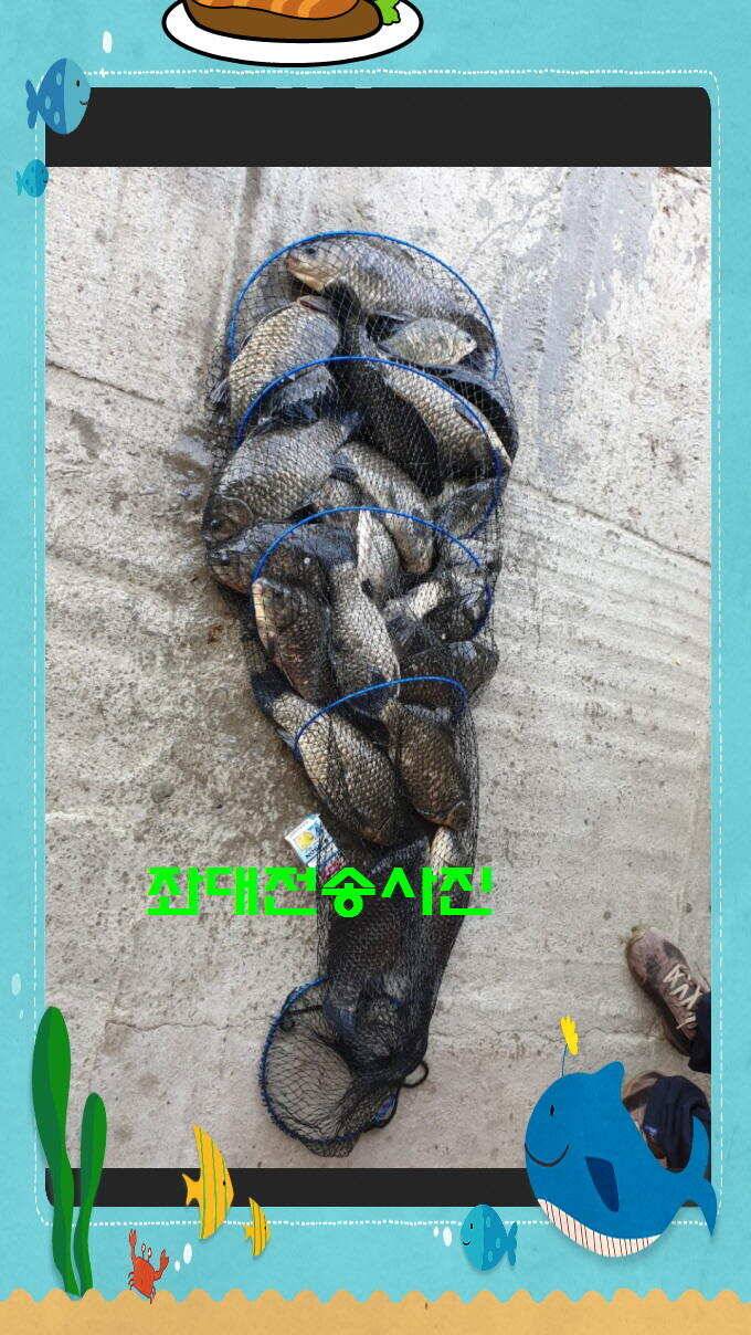 신원낚시터 토종대물 4짜 소식입니다 (유료터정보 - 유료터점주조황)