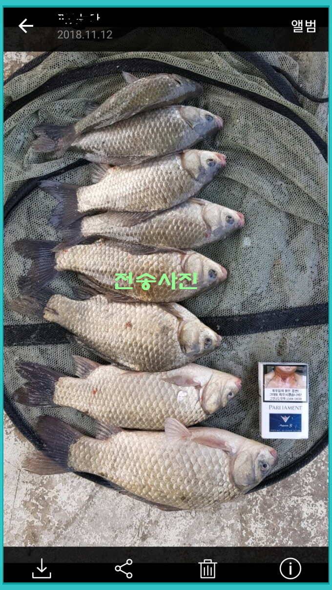 신원낚시터 11월 14일 조황 소식입니다 (유료터정보 - 유료터점주조황)
