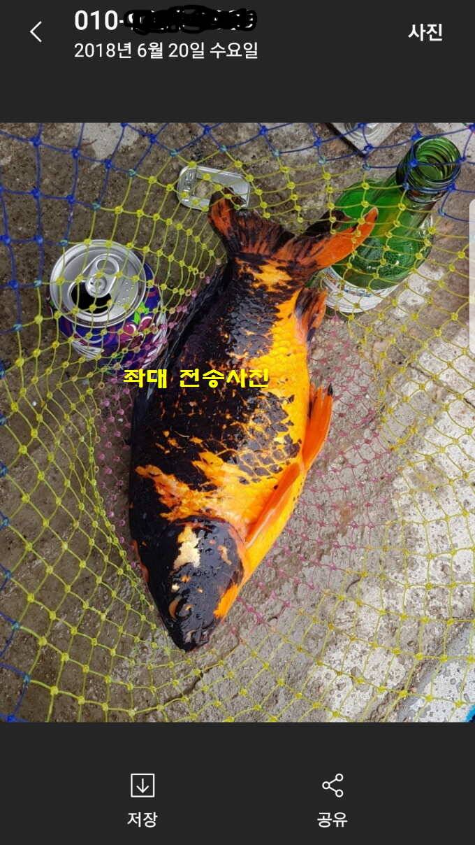 신원낚시터 6월 29일 조황소식입니다 (유료터정보 - 유료터점주조황)