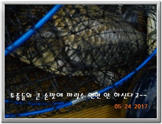 도심속의 작은 쉼터 화성 관리 낚시터입니다밤 밤 밤이 좋습니다 (유료터정보 - 유료터점주조황)