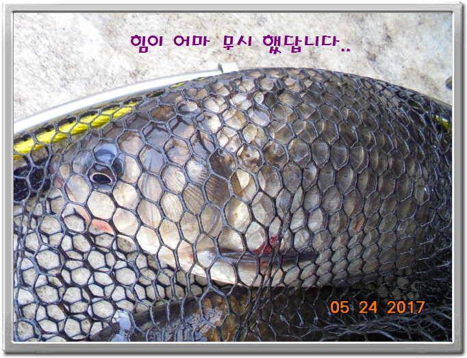 도심속의 작은 쉼터 화성 관리 낚시터입니다밤 밤 밤이 좋습니다 (유료터정보 - 유료터점주조황)