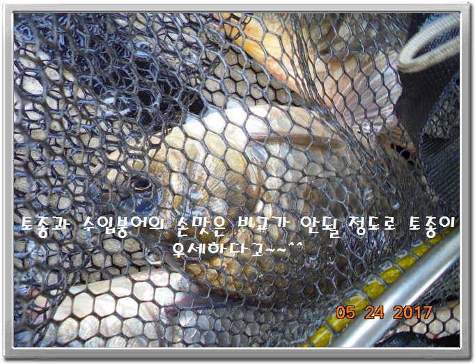 도심속의 작은 쉼터 화성 관리 낚시터입니다밤 밤 밤이 좋습니다 (유료터정보 - 유료터점주조황)