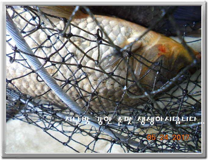 도심속의 작은 쉼터 화성 관리 낚시터입니다밤 밤 밤이 좋습니다 (유료터정보 - 유료터점주조황)