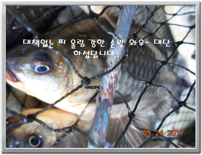 도심속의 작은 쉼터 화성 관리 낚시터입니다밤 밤 밤이 좋습니다 (유료터정보 - 유료터점주조황)