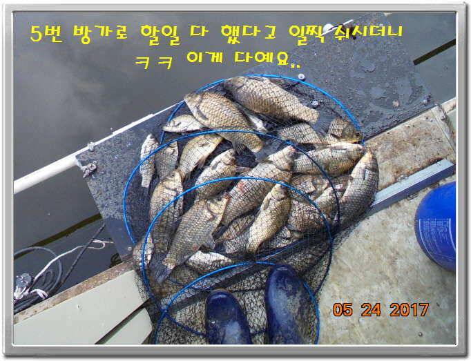 도심속의 작은 쉼터 화성 관리 낚시터입니다밤 밤 밤이 좋습니다 (유료터정보 - 유료터점주조황)