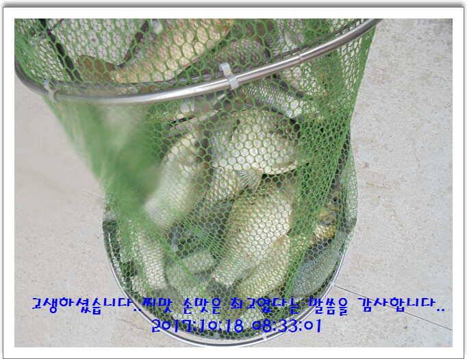 도심속의 작은 쉼터 화성 관리 낚시터입니다대물들 움직임이 심상치 않습니다 (유료터정보 - 유료터점주조황)