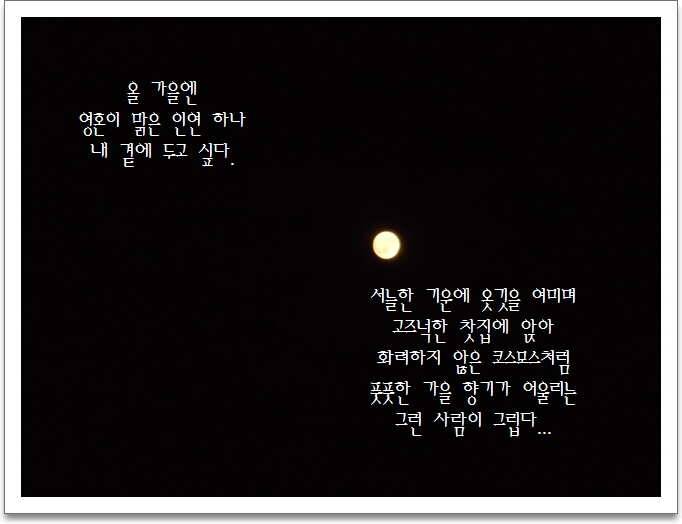 도심속의 작은 쉼터 화성 관리 낚시터입니다가을의 끝자락 (유료터정보 - 유료터점주조황)