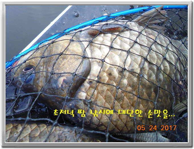 도ㅛ심속의 작은 쉼터 화성 관리 낚시터입니다좋습니다 (유료터정보 - 유료터점주조황)