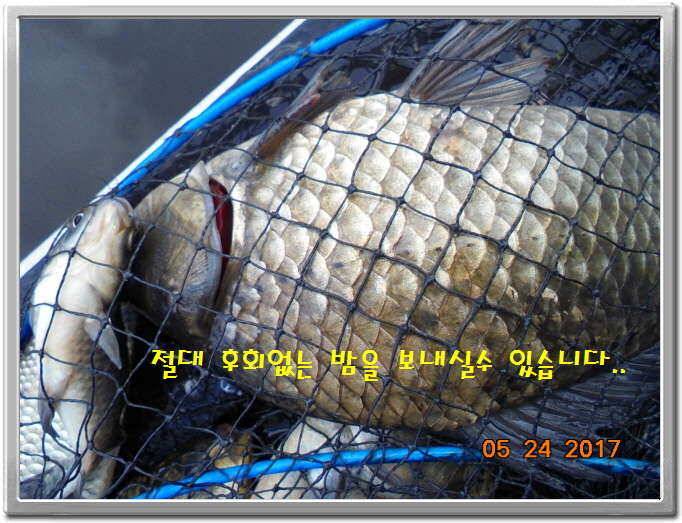 도ㅛ심속의 작은 쉼터 화성 관리 낚시터입니다좋습니다 (유료터정보 - 유료터점주조황)