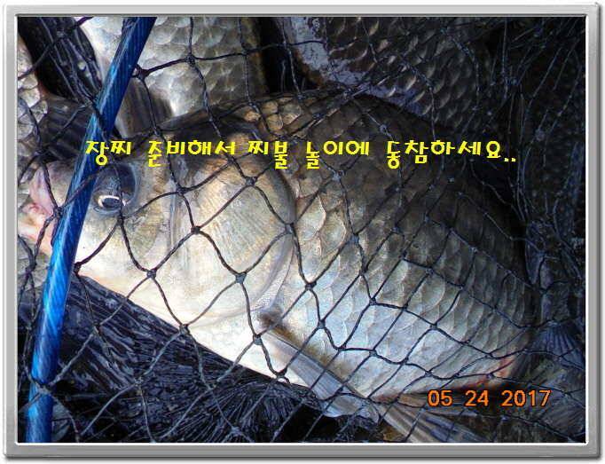 도ㅛ심속의 작은 쉼터 화성 관리 낚시터입니다좋습니다 (유료터정보 - 유료터점주조황)