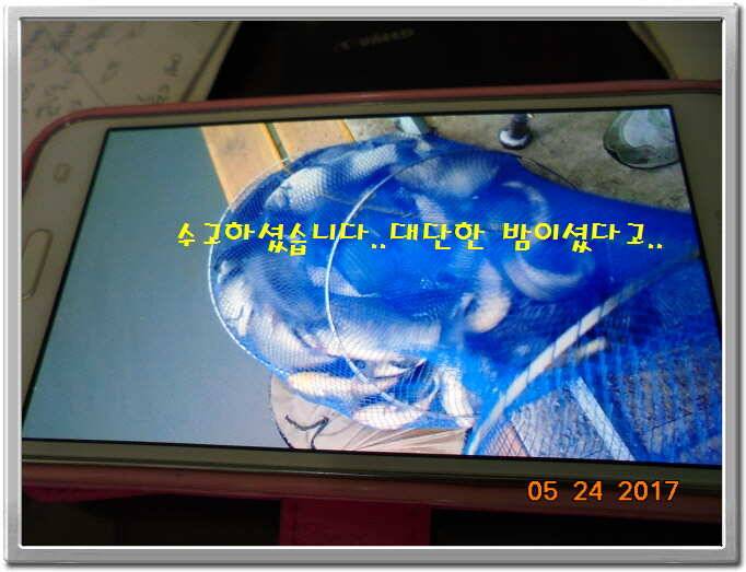 도ㅛ심속의 작은 쉼터 화성 관리 낚시터입니다좋습니다 (유료터정보 - 유료터점주조황)