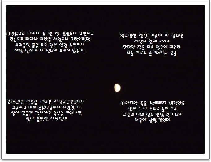 도심속의 작은 쉼터 화성 관리 낚시터입니다긴연휴도 끝인가 봅니다 (유료터정보 - 유료터점주조황)