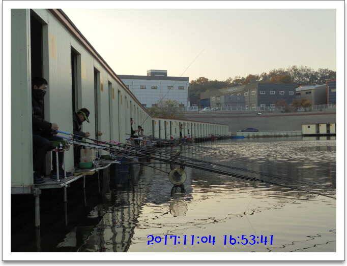 도심속의 작은 쉼터 화성 관리 낚시터입니다가을의 끝자락 (유료터정보 - 유료터점주조황)