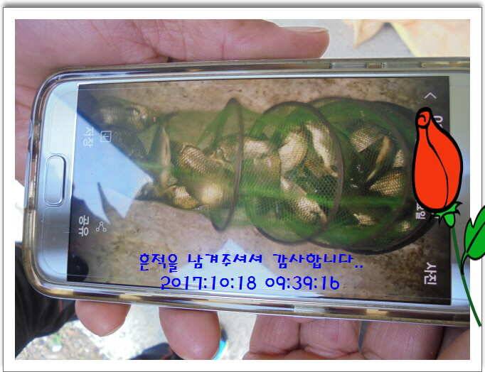 도심속의 작은 쉼터 화성 관리 낚시터입니다대물들 움직임이 심상치 않습니다 (유료터정보 - 유료터점주조황)