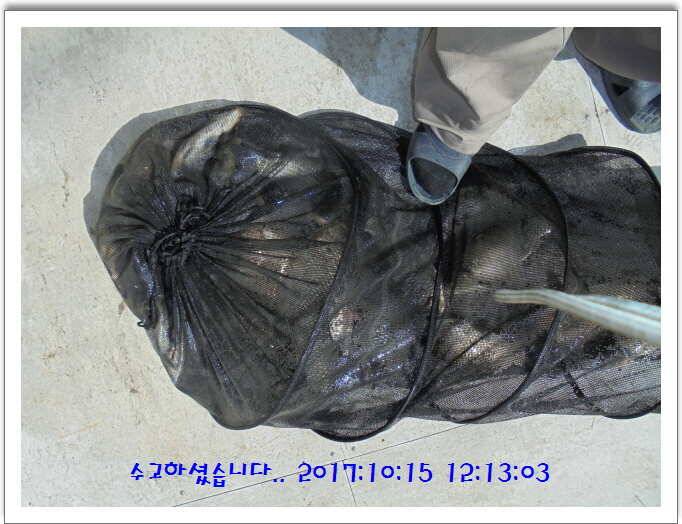 도심속의 작은 쉼터 화성 관리 낚시터입니다 (유료터정보 - 유료터점주조황)