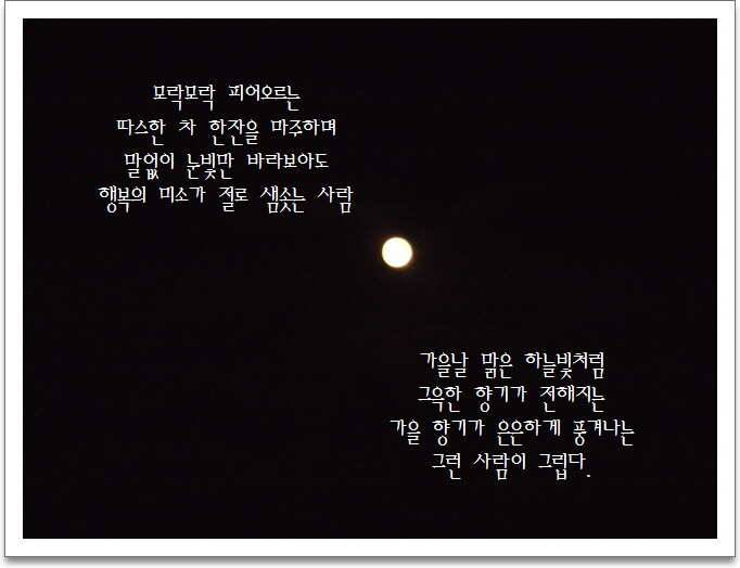 도심속의 작은 쉼터 화성 관리 낚시터입니다가을의 끝자락 (유료터정보 - 유료터점주조황)