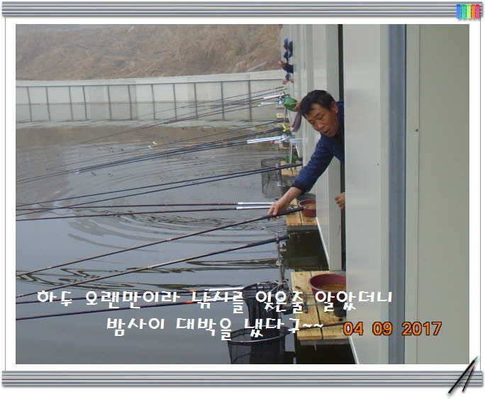 도심속의 작은 쉼터 화성 관리 낚시터입니다좋습니다 (유료터정보 - 유료터점주조황)