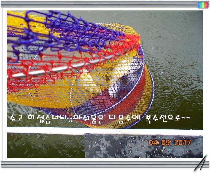 도심속의 작은 쉼터 화성 관리 낚시터입니다좋습니다 (유료터정보 - 유료터점주조황)