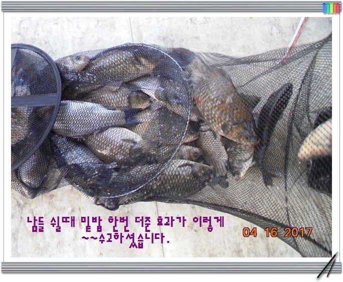 도심속의 작은 쉼터 화성 관리 낚시터입니다역사 한번 만들어 보자구요 (유료터정보 - 유료터점주조황)