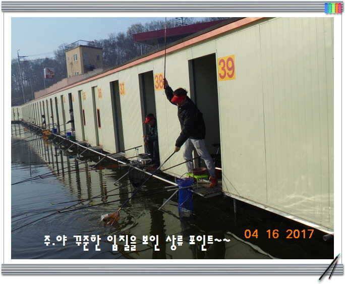 도심속의 작은 쉼터 화성 관리 낚시터입니다역사 한번 만들어 보자구요 (유료터정보 - 유료터점주조황)