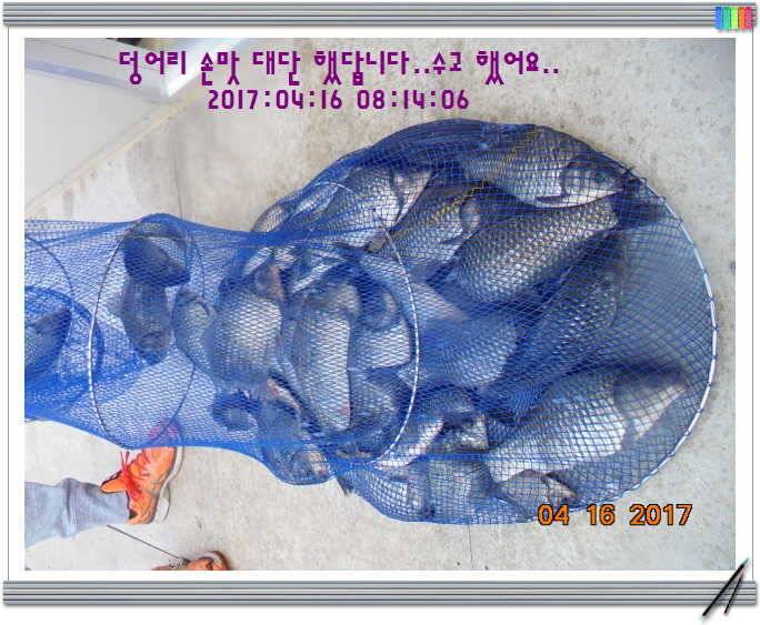 도심속의 작은 쉼터 화성 관리 낚시터입니다역사 한번 만들어 보자구요 (유료터정보 - 유료터점주조황)