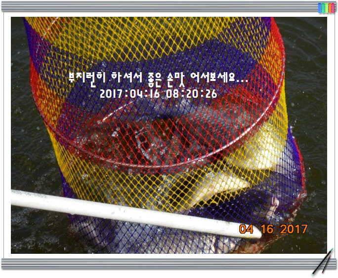 도심속의 작은 쉼터 화성 관리 낚시터입니다역사 한번 만들어 보자구요 (유료터정보 - 유료터점주조황)