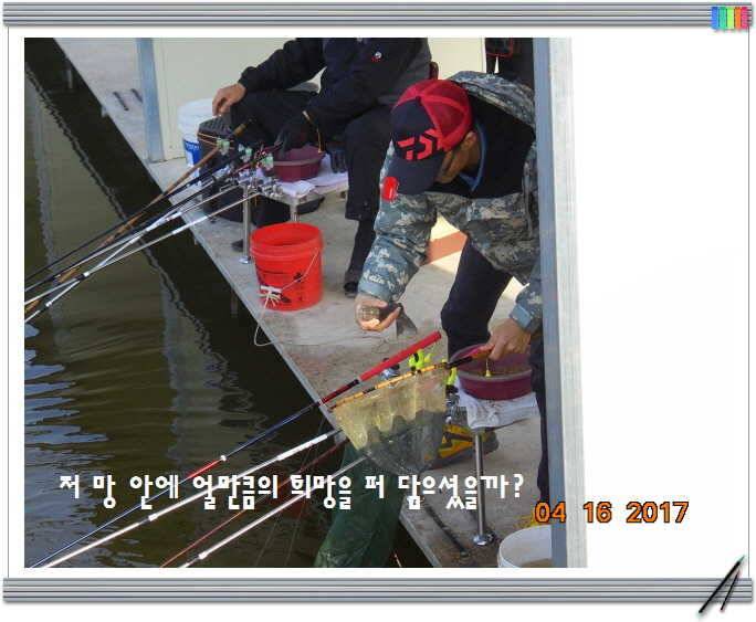 도심속의 작은 쉼터 화성 관리 낚시터입니다역사 한번 만들어 보자구요 (유료터정보 - 유료터점주조황)