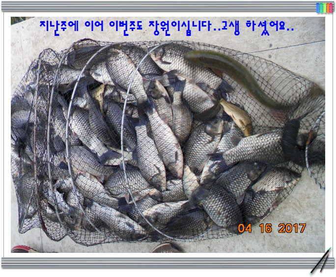 도심속의 작은 쉼터 화성 관리 낚시터입니다역사 한번 만들어 보자구요 (유료터정보 - 유료터점주조황)