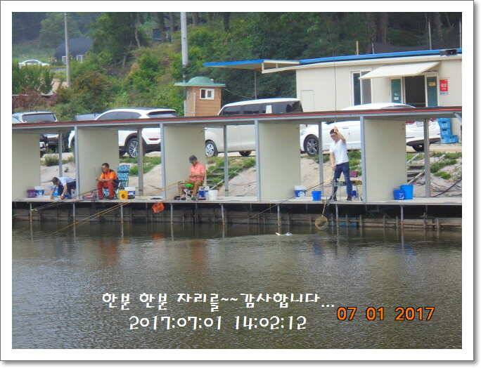 도심속의 작은 쉼터 화성 관리 낚시터입니다입질엔 주야가 없습니다 (유료터정보 - 유료터점주조황)