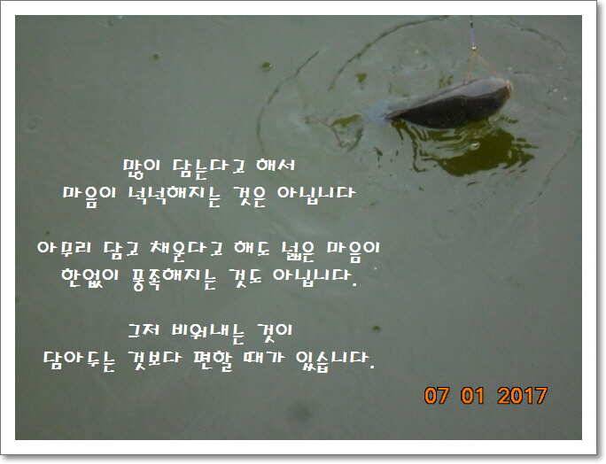 도심속의 작은 쉼터 화성 관리 낚시터입니다입질엔 주야가 없습니다 (유료터정보 - 유료터점주조황)