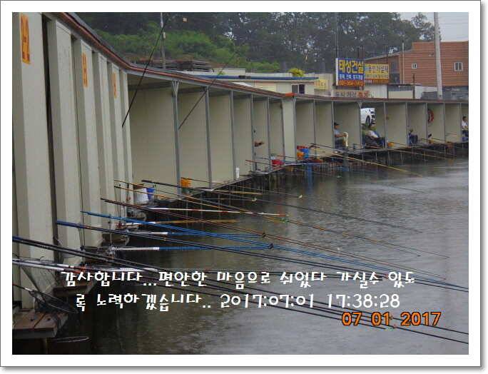 도심속의 작은 쉼터 화성 관리 낚시터입니다입질엔 주야가 없습니다 (유료터정보 - 유료터점주조황)