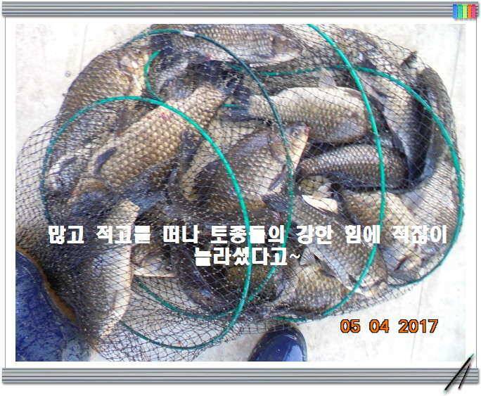 도심속의 작은 쉼터 화성 관리 낚시터입니다 (유료터정보 - 유료터점주조황)